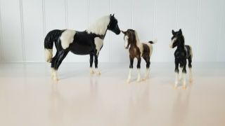 Breyer 3066 Marguerite Henry ' s Our First Pony Gift Set With two Foals 3