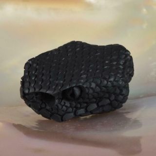 Rattle Snake Head Bead Buffalo Horn Carving For Bracelet Necklace Handmade 6.  22g