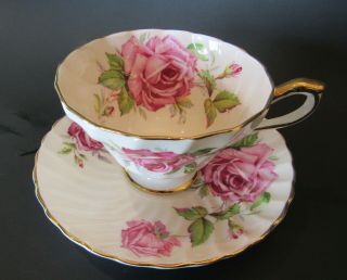 Vintage Ansley Cabbage Rose Teacup And Saucer