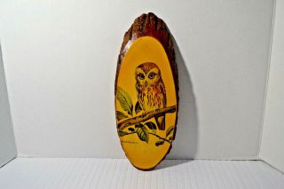 Owl Picture Vintage Wall Hanging Decor Wood Bark Trim Oval By Leland Brewsaugh