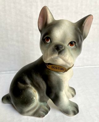 Vtg Boston Terrier With Collar Porcelain Figurine Adorable Black/gray & White