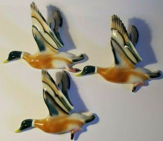 Set Of 3 Vintage 3 - D Flying Ceramic Wall Hanging Mallard Ducks - Retro House Must