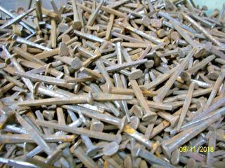 100,  Orig.  Antique,  1 3/8 " Long,  Square Steel Nails,  Great Maine Barn Find
