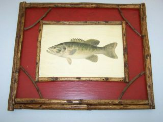 The Smallmouthed Black Bass Framed Picture By Denton Outdoors Mancave Decor