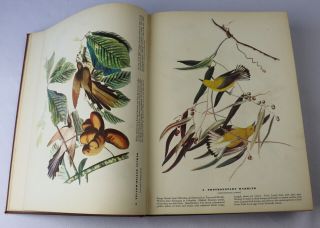 Vintage Book 1941 The Birds Of America John James Audubon Color Illustrations