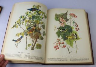 VINTAGE Book 1941 THE BIRDS OF AMERICA John James Audubon COLOR ILLUSTRATIONS 2