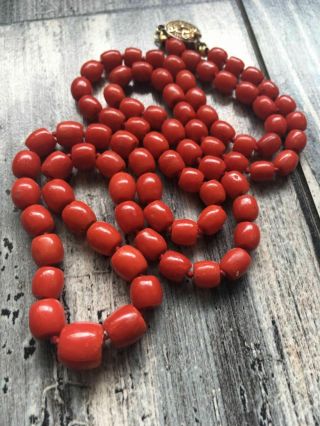 Antique Old Natural Red Coral Necklace Chinese Silver Gold Gilted Clasp China Ex