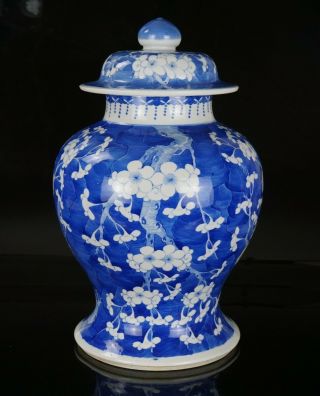 Larg Antique Chinese Blue And White Porcelain Prunus Blossom Temple Vase & Cover