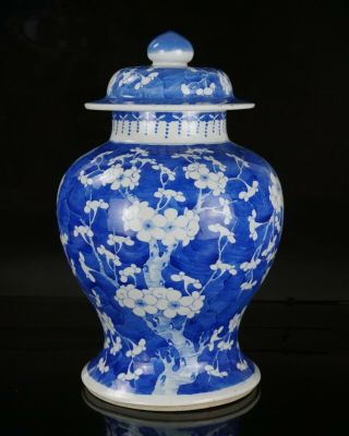 LARG Antique Chinese Blue and White Porcelain Prunus Blossom Temple Vase & Cover 2