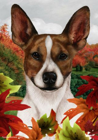 Fall Garden Flag - Brown And White Rat Terrier 131301