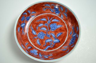 A Rare Chinese Iron - Red " Gardenia " Porcelain Dish