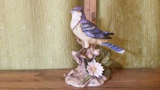 Vintage Homco Porcelain Blue Jay 1445 Hand Painted Bisque Bird Figurine -