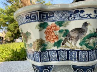 Very Large Antique Chinese Porcelain Planter With Black Birds Qing Period 3