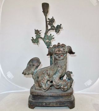 Antique ? Chinese Bronze Foo Dogs Or Shi Shi Temple Lions Statue (15.  5 " Tall)