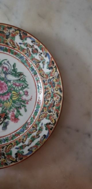 12 Plates - 19th Century Qing Dynasty Canton Famille Rose Butterfly - Lavish 3