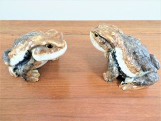 Vintage Japanese Ceramic Frogs Toads Realistic Large 4.  25 " L X 3.  25 " W X 1.  5 " H