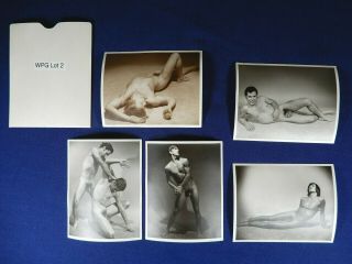 Western Photography Guild,  5 Vintage Male Nude,  Wpg,  Physique Photography 4x5