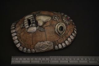 Antique Rare Tibetan buddhism turtle skull head Statue tantrick Kapala Bowl Cup 3