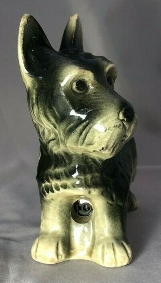 1956 Scottish Terrier Dog Kansas City Vintage Ceramic Made In Germany