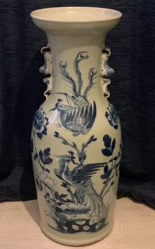 Magnificent Antique Chinese Porcelain Celadon Vase Large 19th Century
