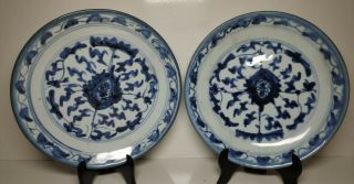 Blue And White Porcelain Saucers Qing Dynasty 19th Century,  Set Of 2.  (ss9112)