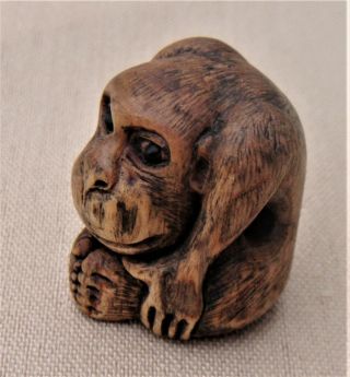 Antique Japanese Boxwood Netsuke Of A Seated Monkey.  Edo Era And Signed Masakata