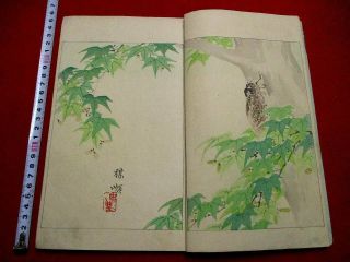 1 - 15 Bijyutsu Sekai 20 Japanese Woodblock Print Book