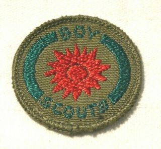 Sun Variety Boy Scout Naturalist Proficiency Award Badge Brown Back Troop Small