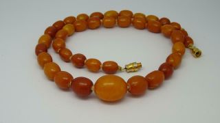 Antique Butterscotch Baltic Amber Bead Necklace 100 Natural 16 ",  (prayer Beads)