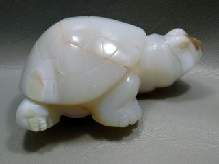 Stone Turtle Figurine Gemstone Animal Carving 3.  2 Inch Agate Rock 2