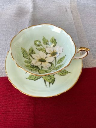 Vintage Paragon Pale Green Teacup & Saucer Large White Anemone Floral
