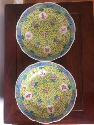 A Pair Chinese Antique Porcelain Hand Painting Famille Rose Plates Qing Dynasty