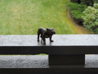 Bronze Sculpture Of An English Bulldog