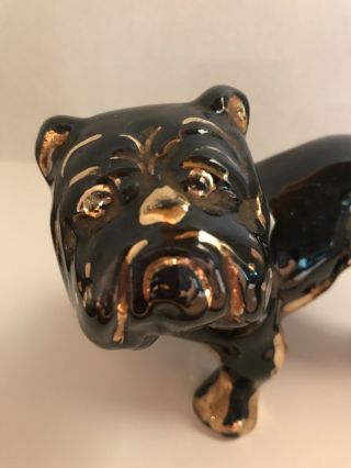 Vintage Black Gold English Bulldog Pit Gold Spike Collar Figurine Bisque Ceramic