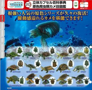 Japan Takara Tomy Yujin Land Sea Turtle Reptile Tortoise Figure Model Set 15pcs