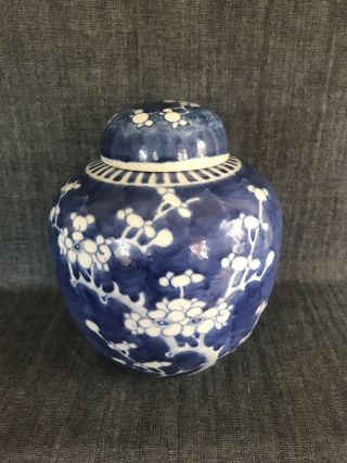Antique Large Chinese B & W Prunus Ginger Jar And Cover