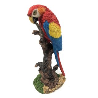 Macaw Parrot On A Branch Resin Figurine 8.  5” Tall