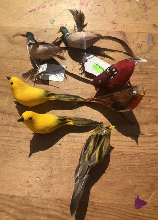 Vintage Set Of 7 Artificial Birds Crafting Ornaments Real Feathers
