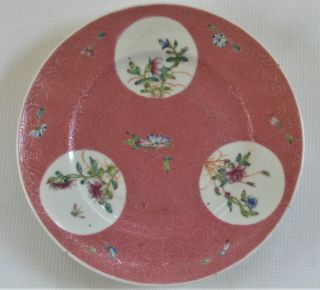 Antique Chinese Porcelain Dish - Enamel Painted With Sgraffito Background