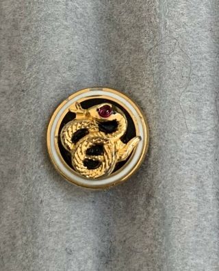 Sigma Nu Fraternity Pin - Gold Snake With Ruby