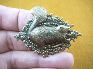 (b - Squir - 51) Fat Squirrel Little Baby Squirrels Forest Skunk Brass Pin Pendant