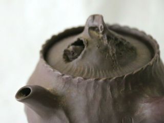 by Sasaoka Hozan Antique Japanese Yixing Tea Pot With Bird Nesting in Lid Marked 2