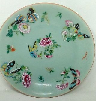 Antique 19th Century Chinese Canton Celadon Porcelain Plate Famille Rose
