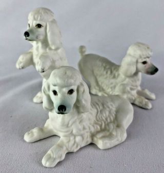 Set Of 3 Vintage Bone China Miniature Poodle Dog Family Figurines White Standard
