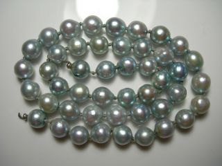 46 Vintage Cultured Saltwater Akoya Pearls 7.  5mm - 6.  8mm Blue Gray Japan Drilled