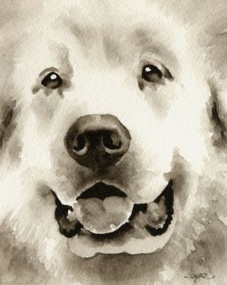 Great Pyrenees Note Cards By Watercolor Artist Dj Rogers