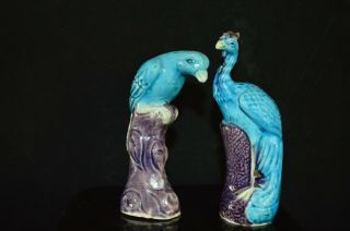 Antique Chinese Export Turquoise Blue Parrots Porcelain Figurine Pair 13 Cm