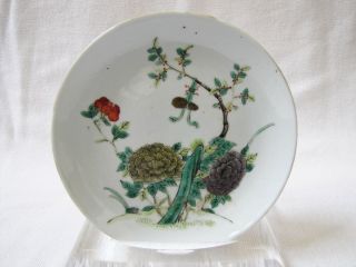 Antique Chinese Porcelain Plate.  Late 19th Century