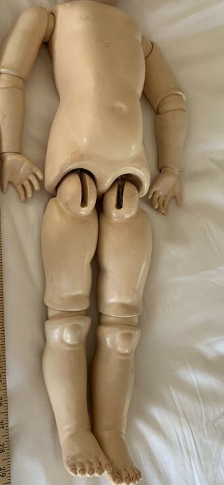 Heinrich Handwerck Doll Body 23 " Inch 109 - 15 Dep Late 1800s Antique