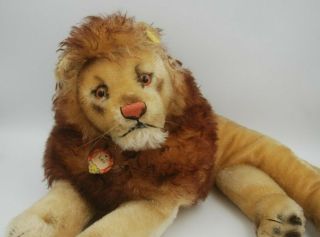 Vintage Steiff " Leo " Lion,  Name Tag,  Brass Button,  Yellow Tag